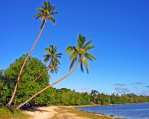 Erakor_Beach_Vanuatu_