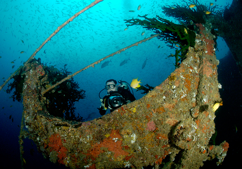 Diving-Life-Boats