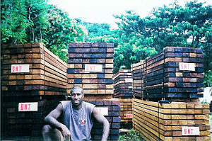 Frank_with_timber_for_export300