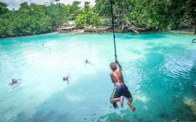 Vanuatu Total visitor arrivals rose by 23 percent over the previous month and 35 percent over the year