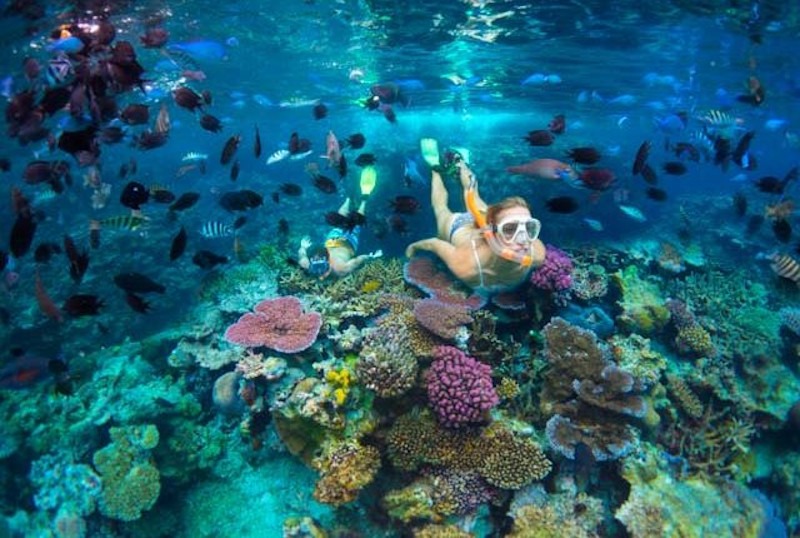 vanuatu snorkelling tour