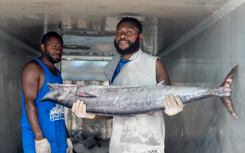 VANUATU TO EXPORT 1.5 TONS OF TUNA WEEKLY