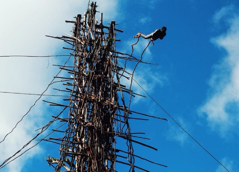 Land Diving in Vanuatu: Would You Take the Leap of Faith?