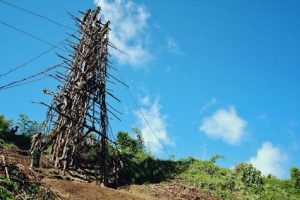 Land Diving in Vanuatu: Would You Take the Leap of Faith?