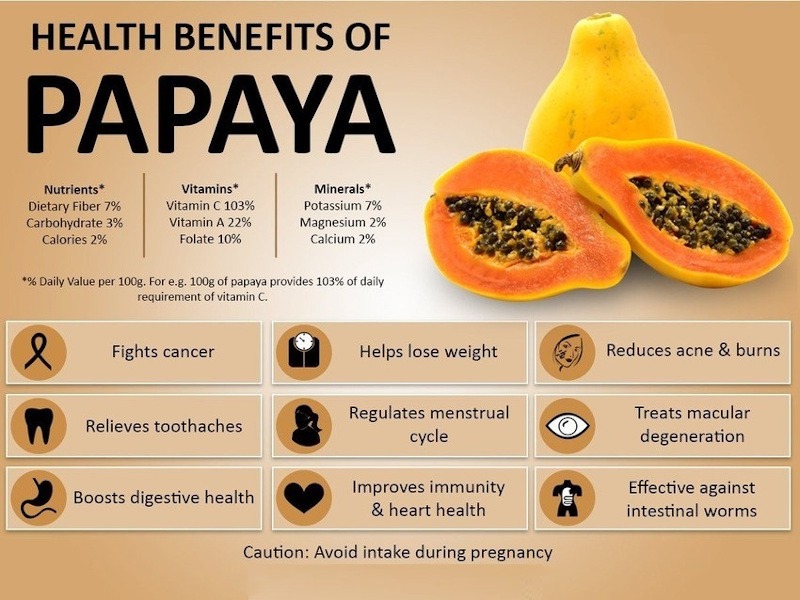Papaya: The Super Food that Fights Dengue, Malaria and Cancer
