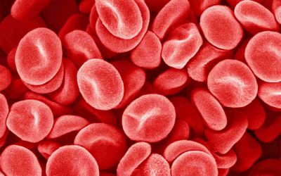 Maintaining a good platelet count is essential in helping your body deal with injuries in the best way possible