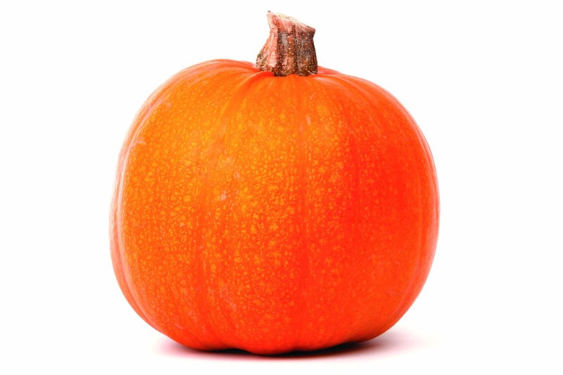 Pumpkin