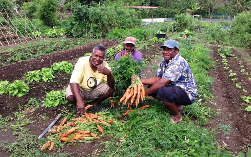 vanuatu agriculture