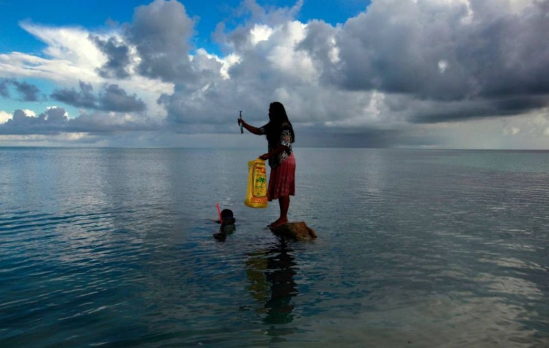 Australia urged to offer migration safety valve as climate pressures Pacific