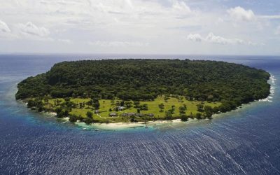Sydney Cafe Owner Aims to Turn Remote Island into Crypto City