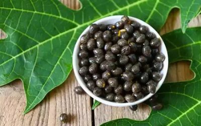 How The Habit Of Consuming Papaya Seeds Daily Can Improve Health